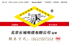 一场标新立异的四十周年庆典界的奇不雅——长